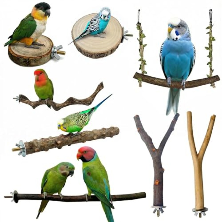 Health & Wellness Services At Western University London Reviews - 8 perchoirs en bois naturel pour