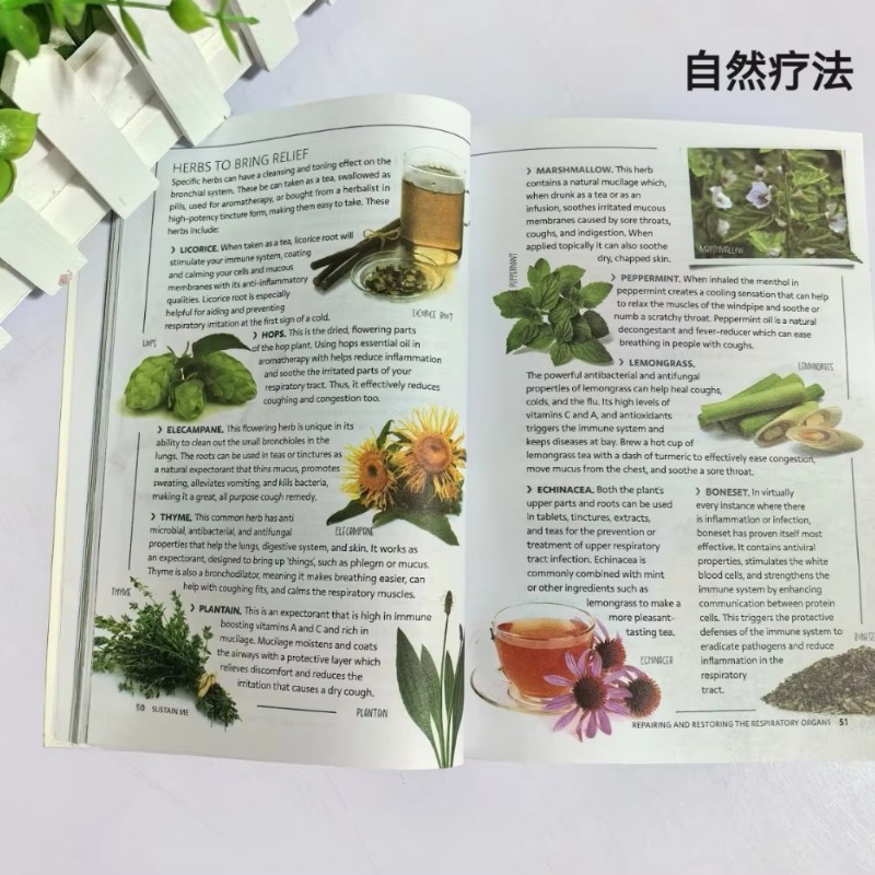 Sustain Me English Paperback d - Health Wellness Foundation avis et prix
