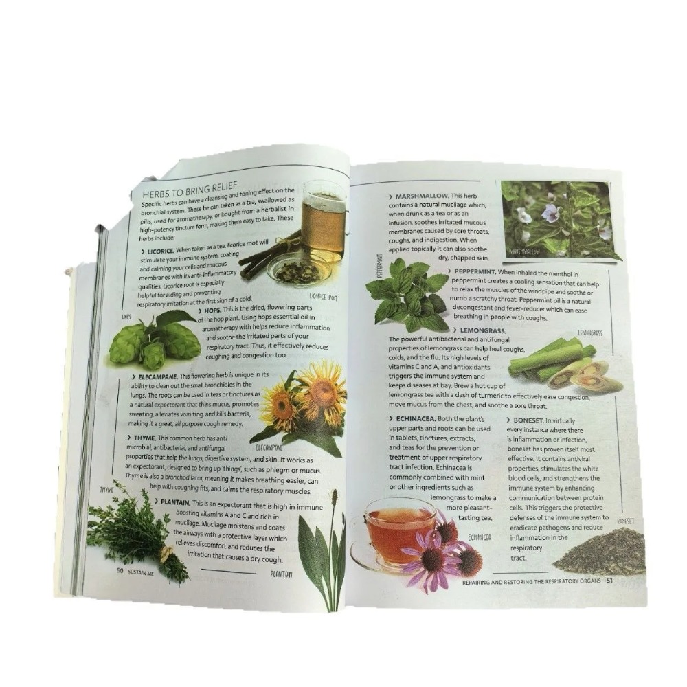 Sustain Me English Paperback d - Health Wellness Foundation avis et prix